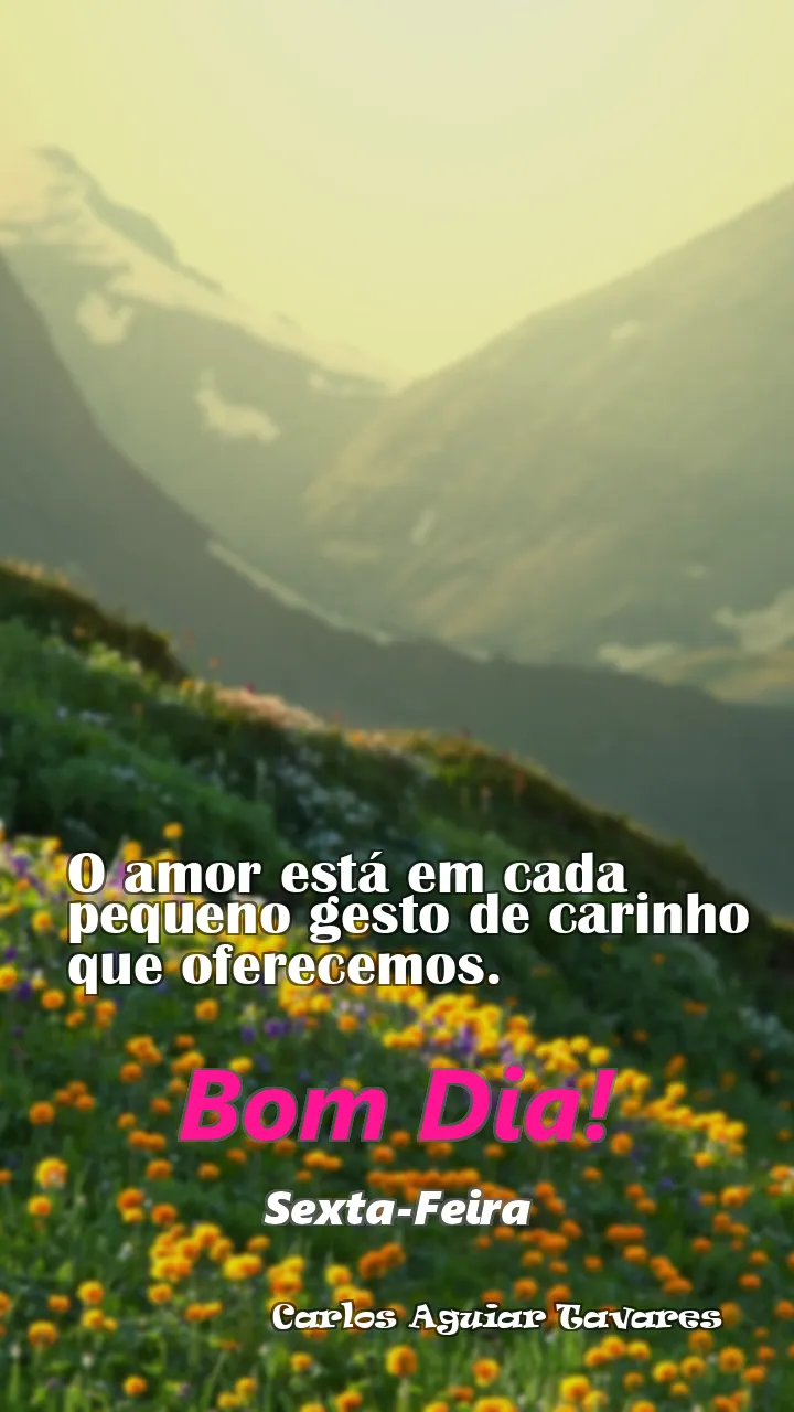 O amor está em cada pequeno gesto de carinho que oferecemos.