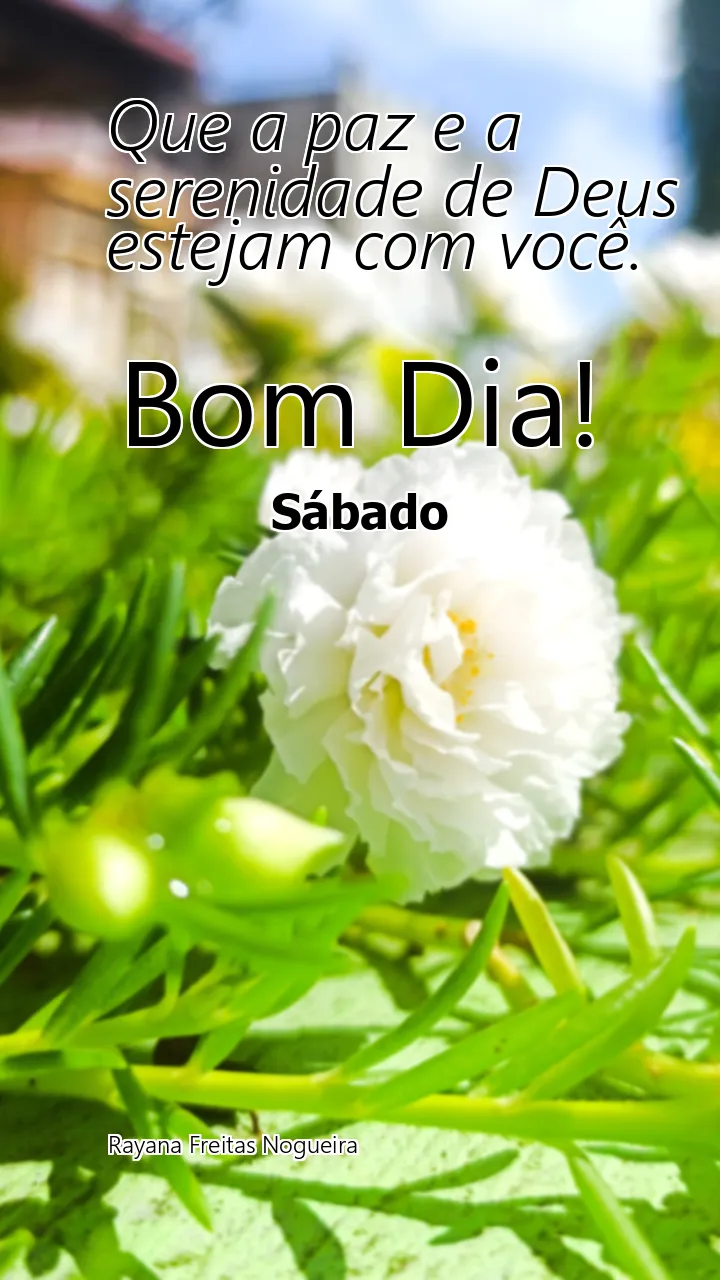 Que a paz e a serenidade de Deus estejam com você.