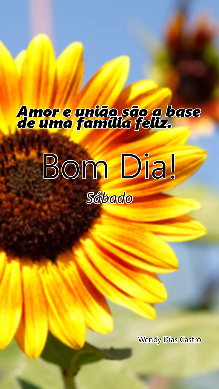 Amor e união são a base de uma família feliz.