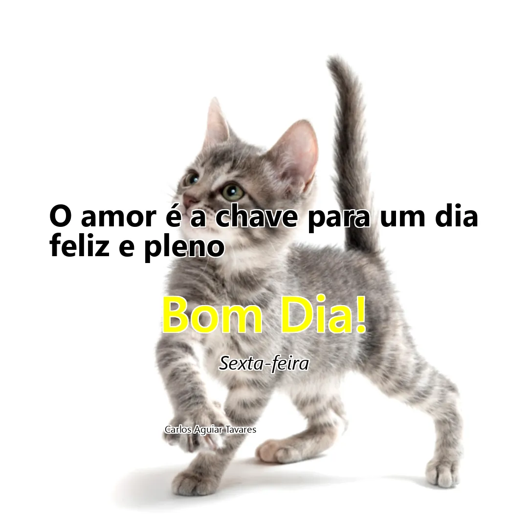 O amor é a chave para um dia feliz e pleno