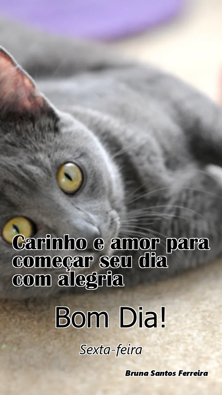 Carinho e amor para começar seu dia com alegria