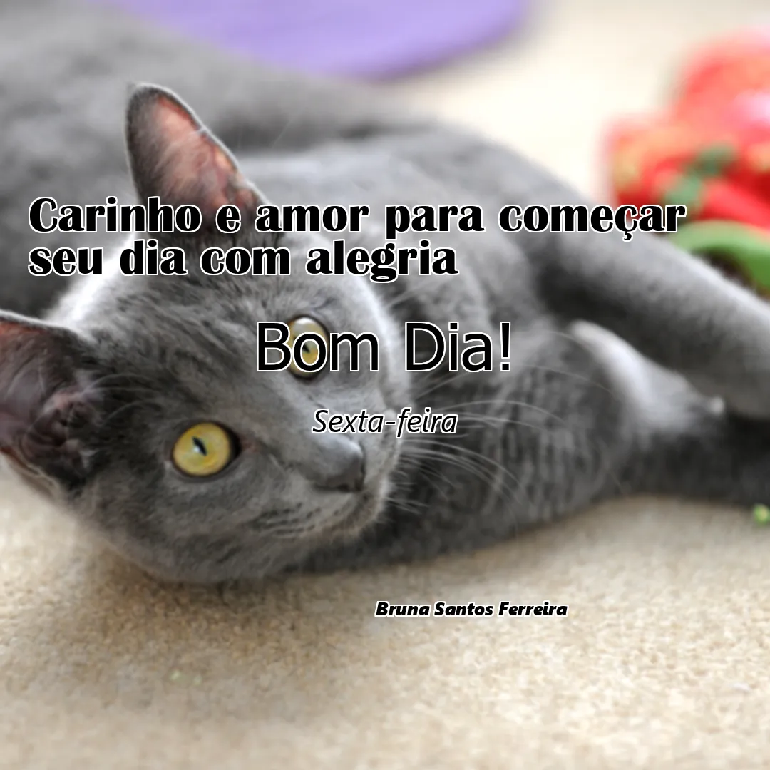 Carinho e amor para começar seu dia com alegria